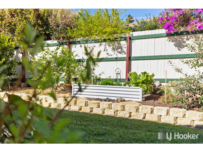 11 Natalin Street, Cleveland QLD 4163