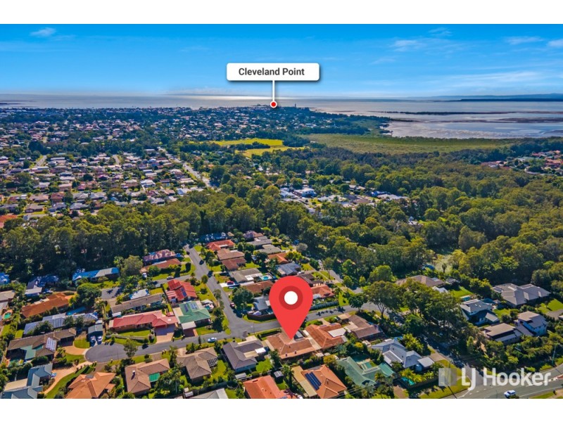 11 Natalin Street, Cleveland QLD 4163