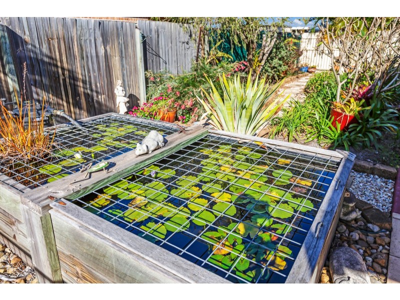 19 Kestrel Court, Victoria Point QLD 4165