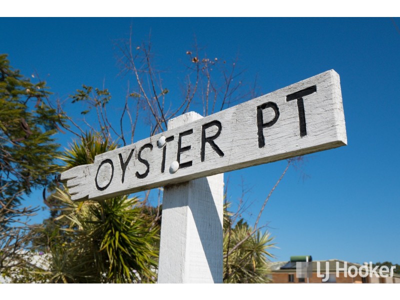 4 Ray Street, Cleveland QLD 4163