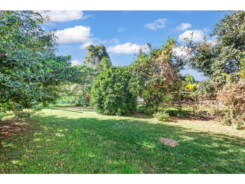 31 Thomas Street, Birkdale QLD 4159