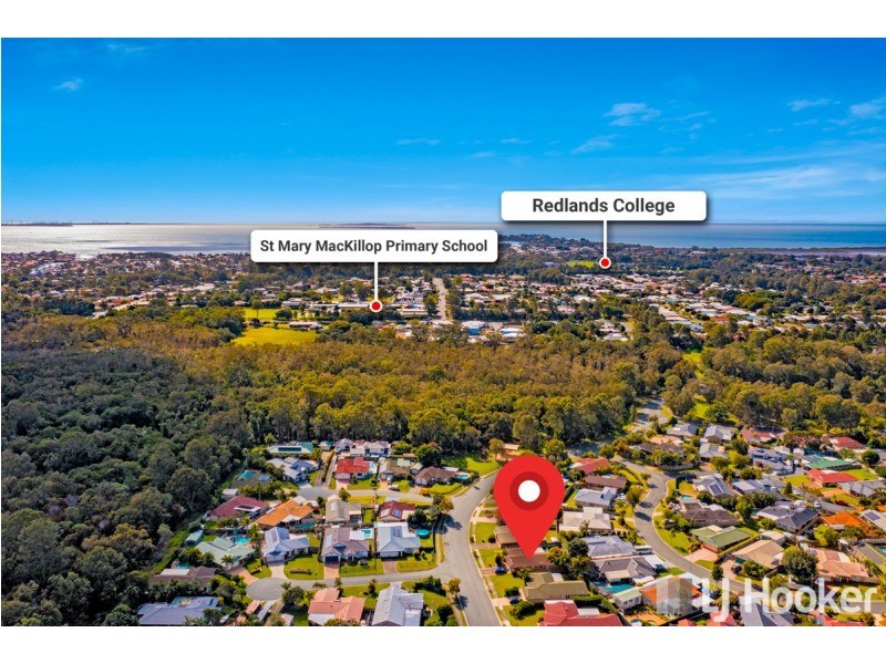 49 Tulloch Drive, Wellington Point QLD 4160