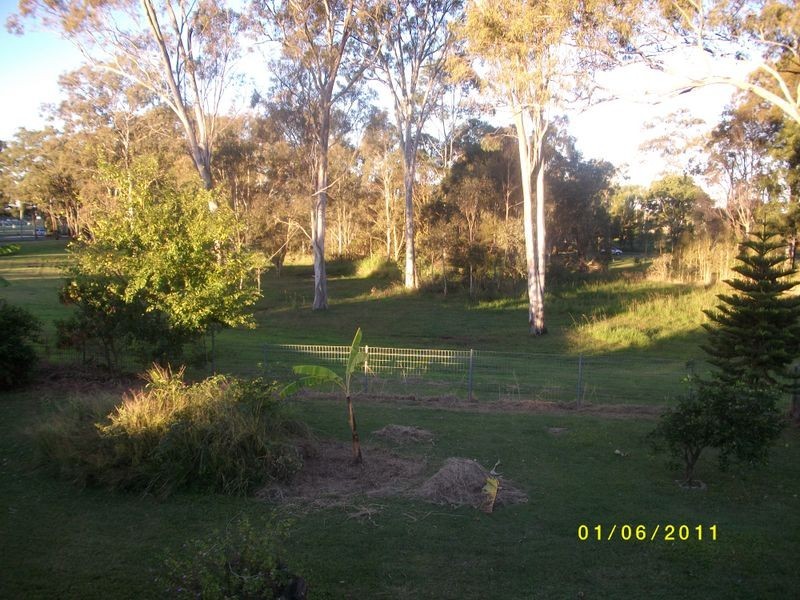 14 Carinya Street, Cleveland QLD 4163