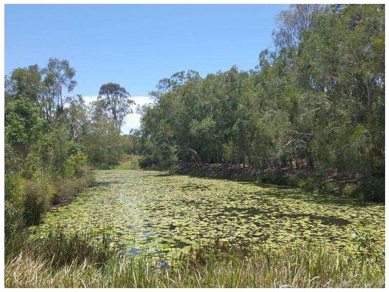 58/11 Rachow Street, Thornlands QLD 4164