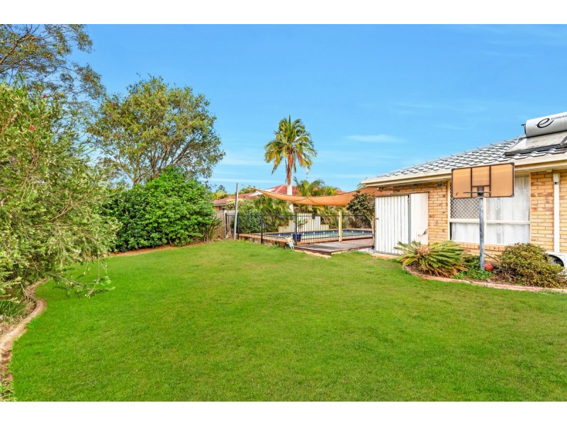 11 Pecan Court, Birkdale QLD 4159