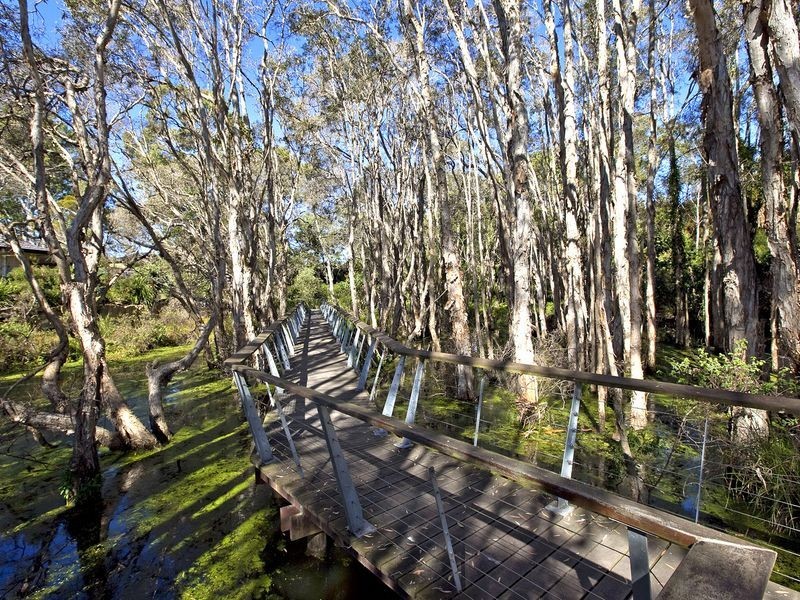 20 Lyndhurst Place, Thornlands QLD 4164