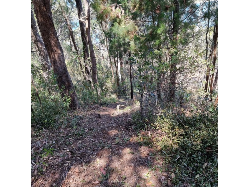 7 Cliff Terrace, Macleay Island QLD 4184