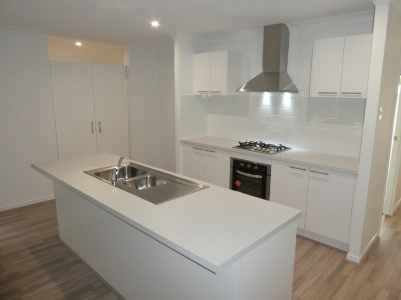 16 Coen Street, Thornlands QLD 4164