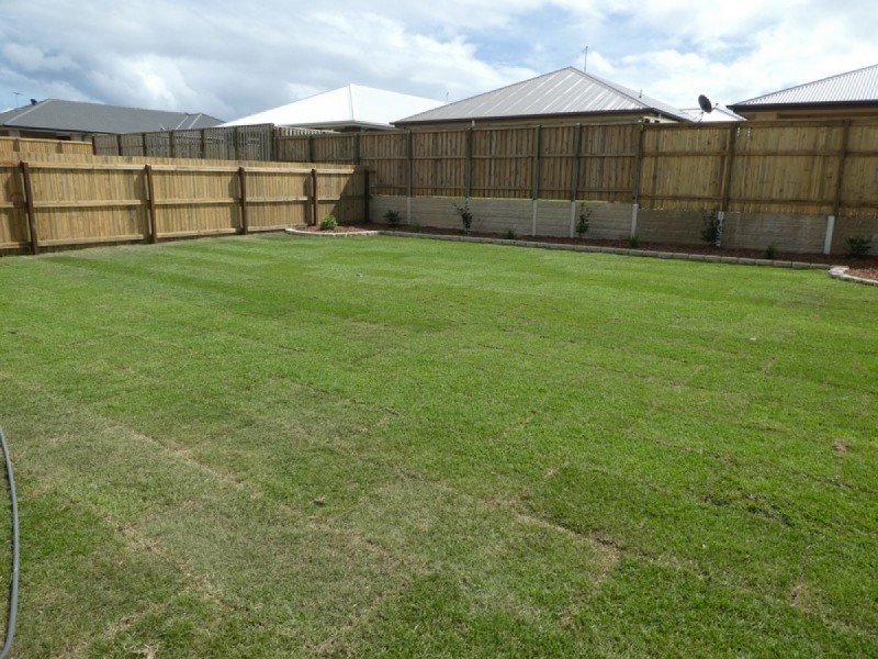 16 Coen Street, Thornlands QLD 4164