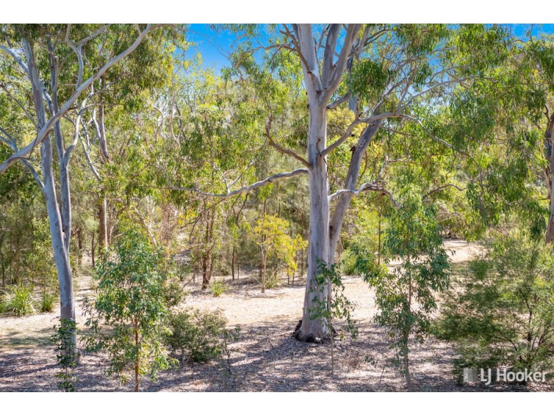 5/5 Yarrow Court, Cleveland QLD 4163