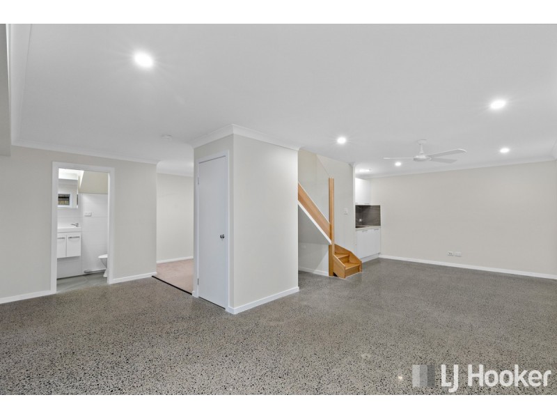 9 Princess Street, Cleveland QLD 4163