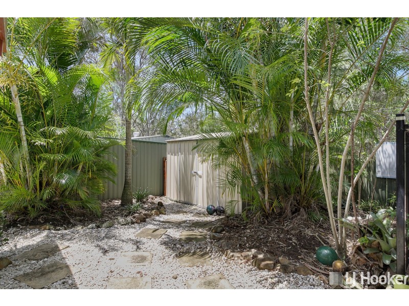 16 Capricorn Drive, Cleveland QLD 4163