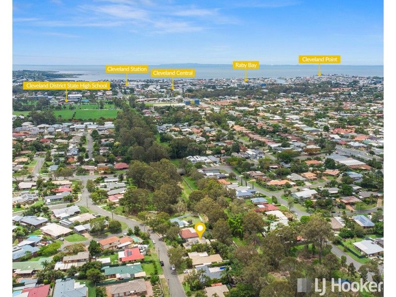 16 Capricorn Drive, Cleveland QLD 4163