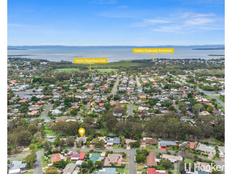 16 Capricorn Drive, Cleveland QLD 4163