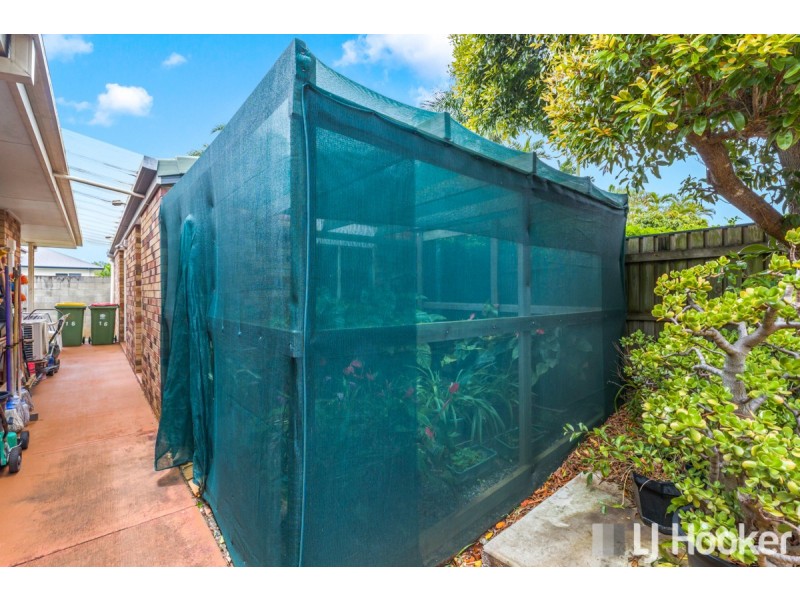 16 Victory Place, Birkdale QLD 4159