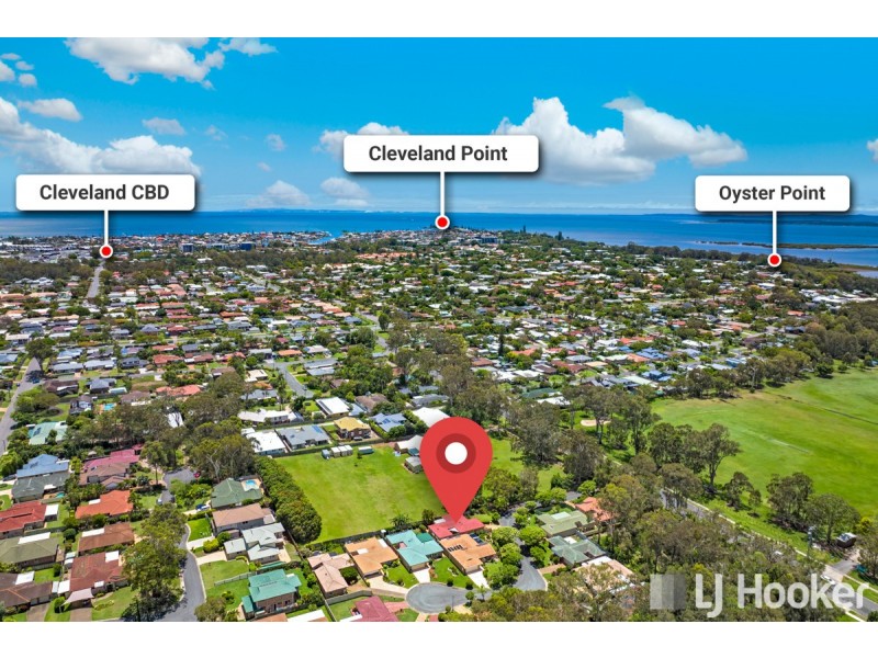 16 Baypark Court, Cleveland QLD 4163