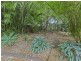 40 Elmhurst Street, Capalaba QLD 4157