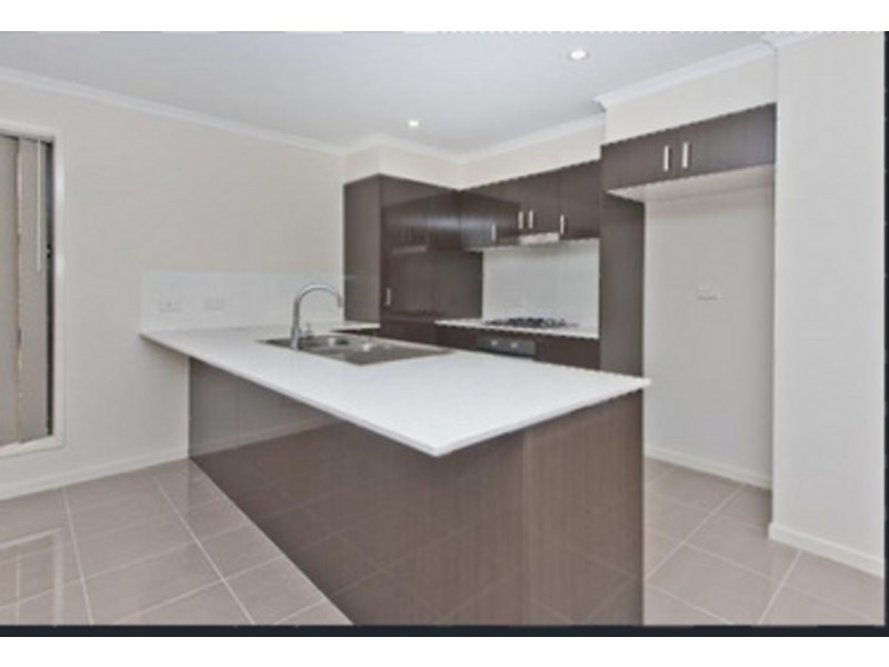 8 Arkwright Street, Thornlands QLD 4164