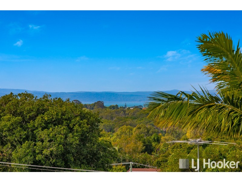 59 Allenby Road, Alexandra Hills QLD 4161