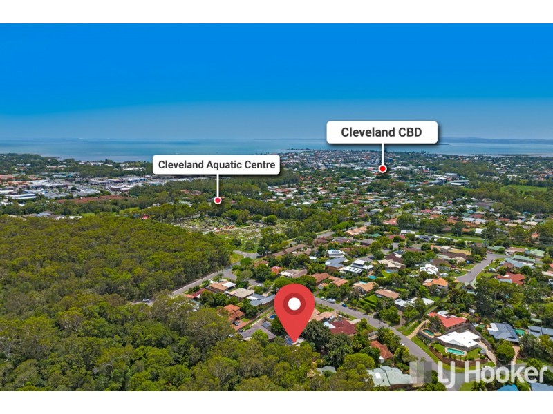 98 Sunshine Drive, Cleveland QLD 4163