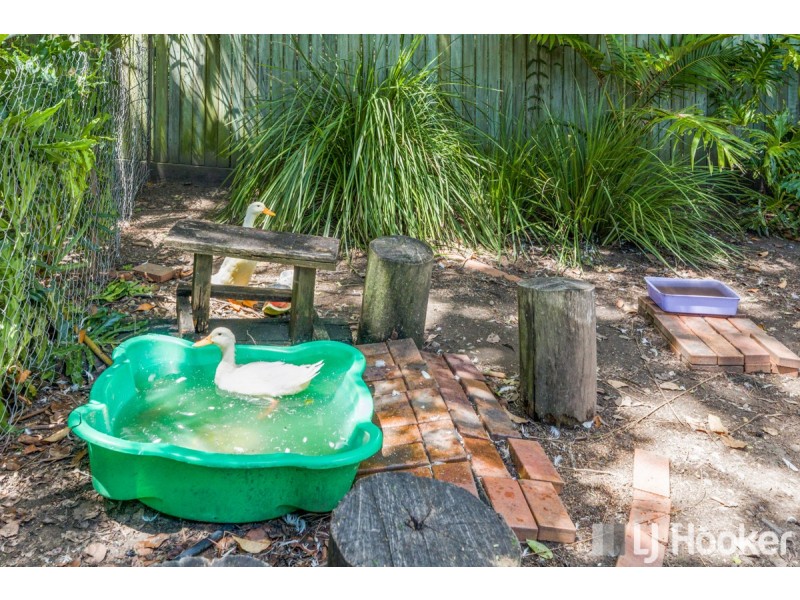 98 Sunshine Drive, Cleveland QLD 4163