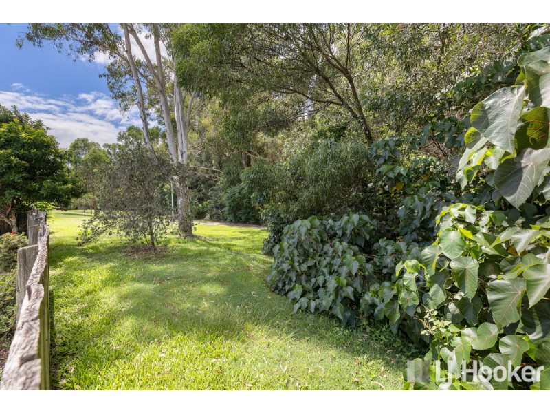 54 Ashwood Circuit, Birkdale QLD 4159