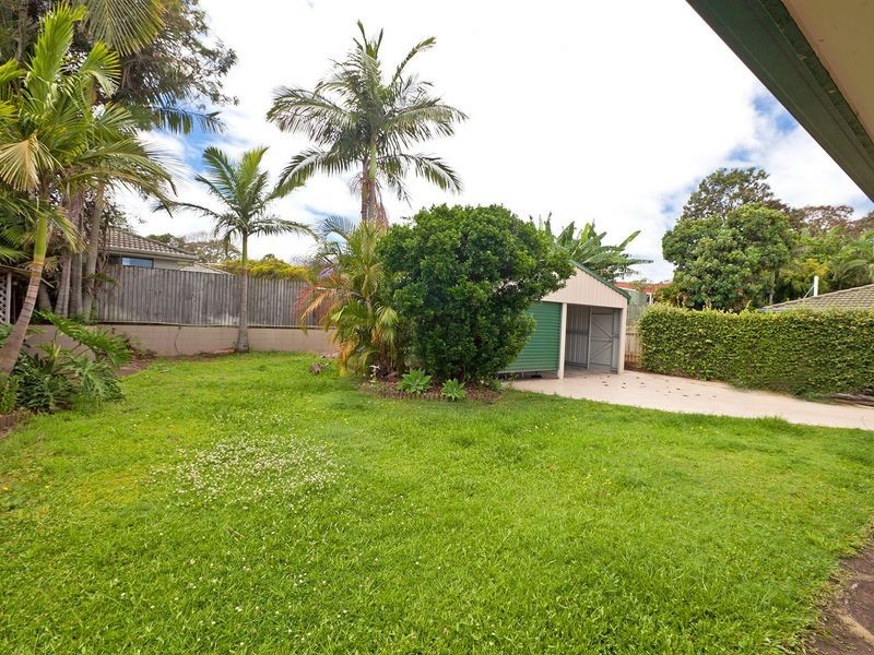 11 Marginalia Court, Cleveland QLD 4163