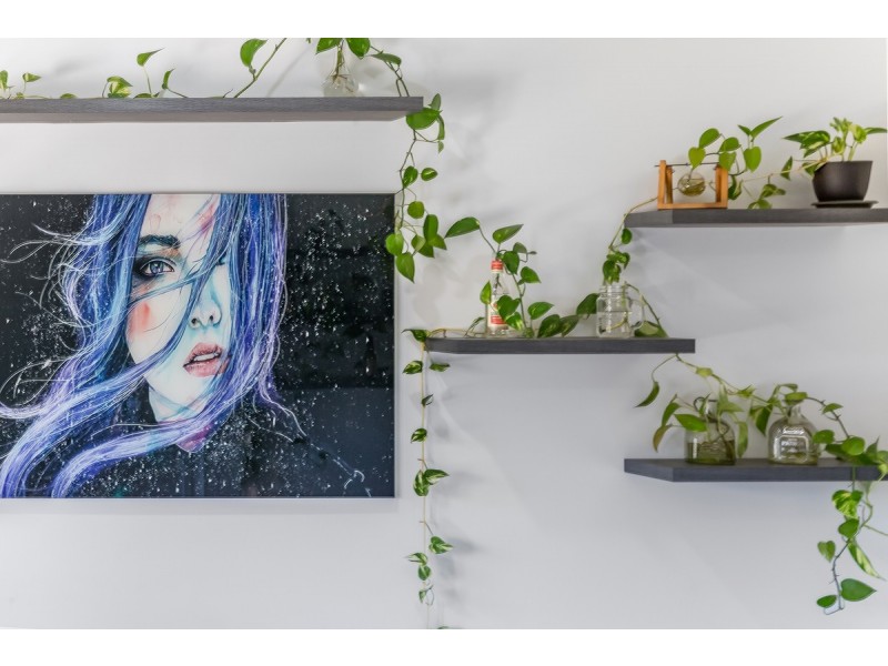 37 Babiana Street, Alexandra Hills QLD 4161