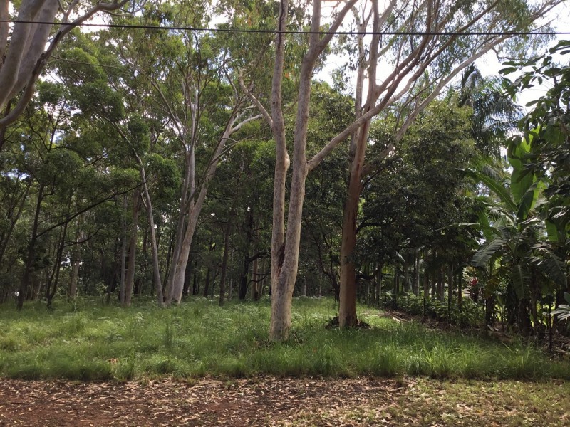 61 Woodlands Circuit, Russell Island QLD 4184