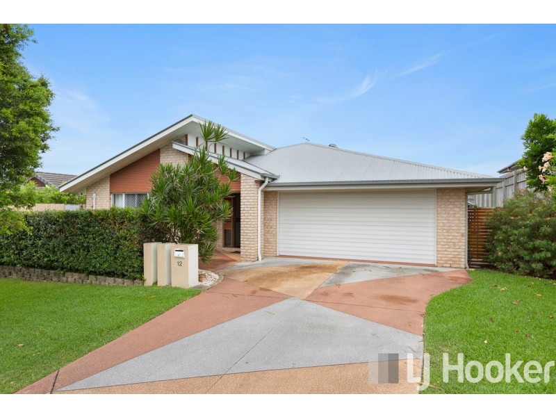 12 Daphne Place, Wakerley QLD 4154