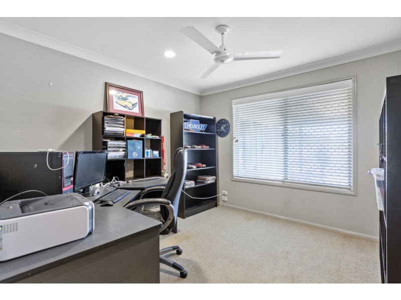 19 Picton Drive, Alexandra Hills QLD 4161