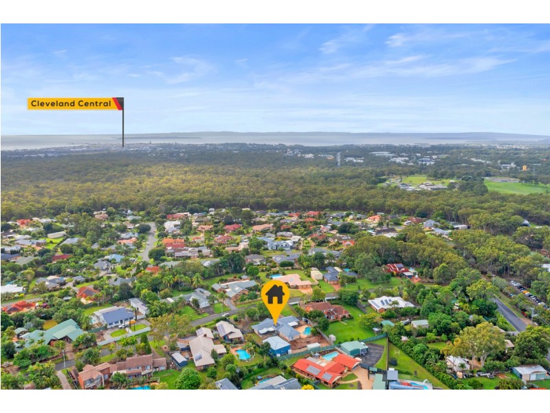 19 Picton Drive, Alexandra Hills QLD 4161