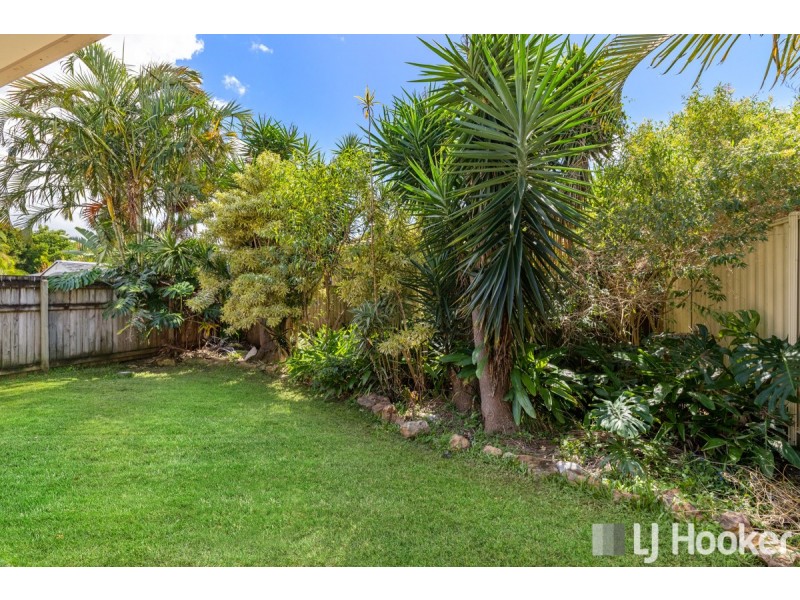 53 South Street, Cleveland QLD 4163