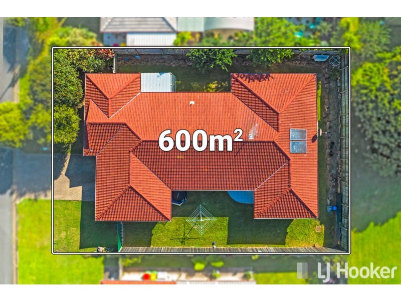 19 Adam Street, Cleveland QLD 4163