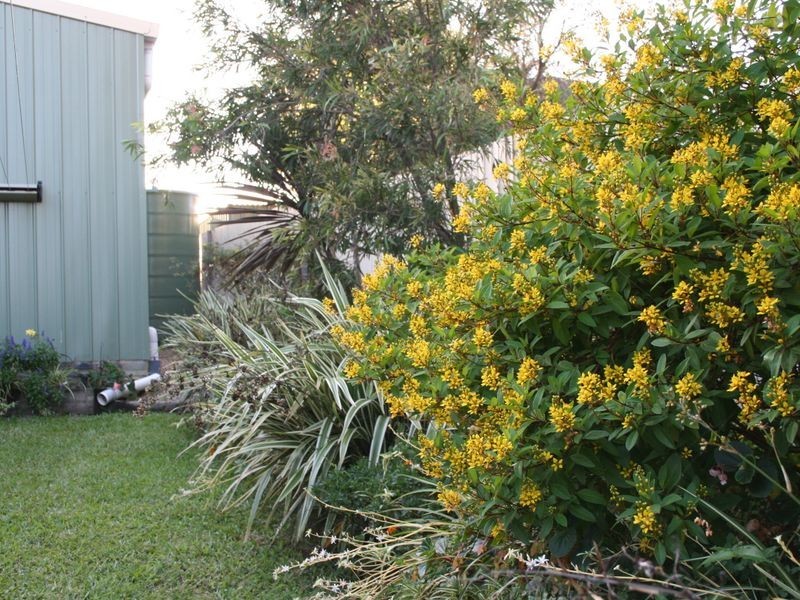 40 Highview Drive, Cleveland QLD 4163