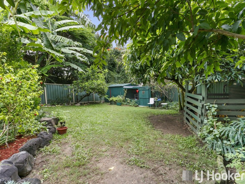 86 Ogilvie Street, Alexandra Hills QLD 4161