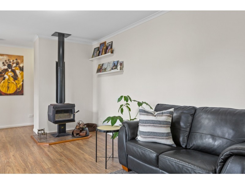 10 Amaryllis Street, Alexandra Hills QLD 4161