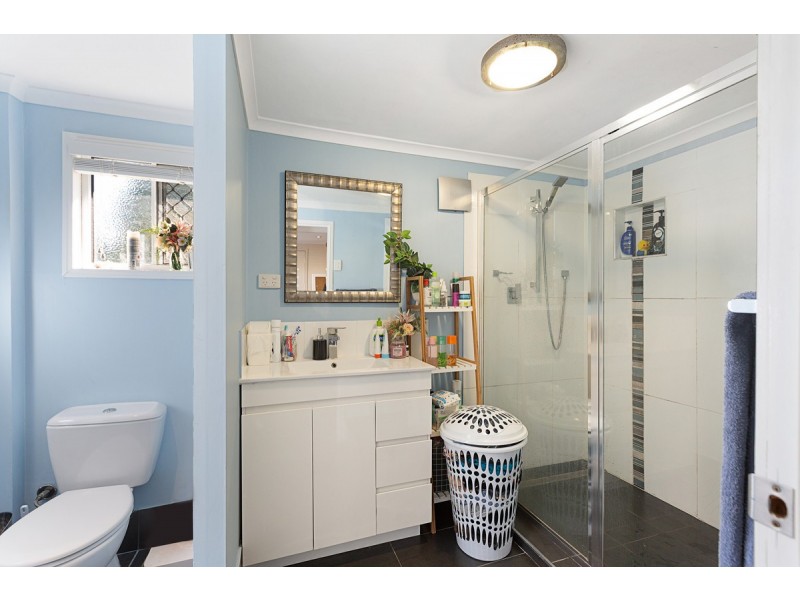 17 Diana Street, Capalaba QLD 4157