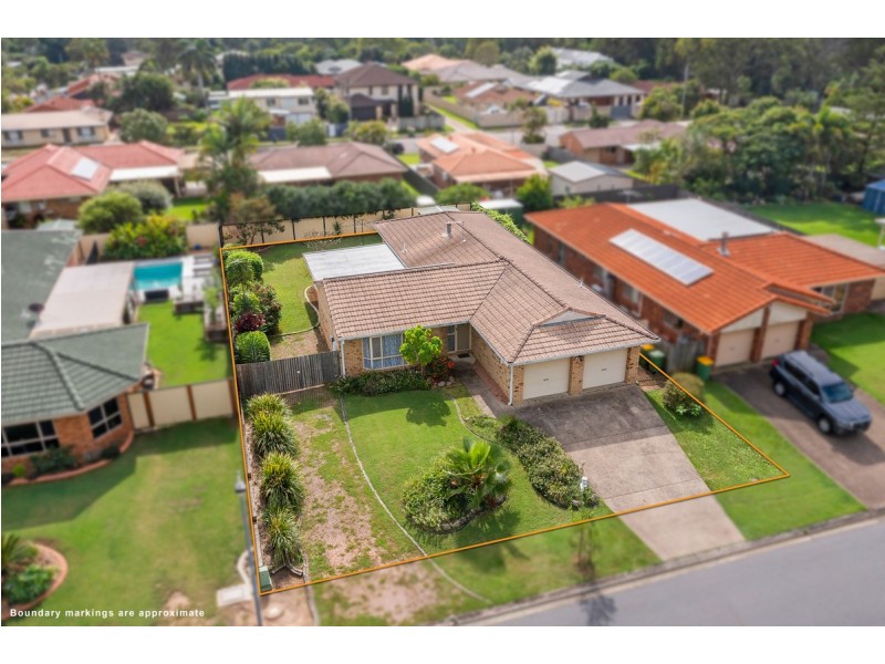 19 Duck Street, Birkdale QLD 4159