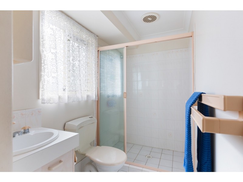 19 Duck Street, Birkdale QLD 4159