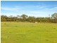 1744 Mt Gravatt-Capalaba Road, Chandler QLD 4155