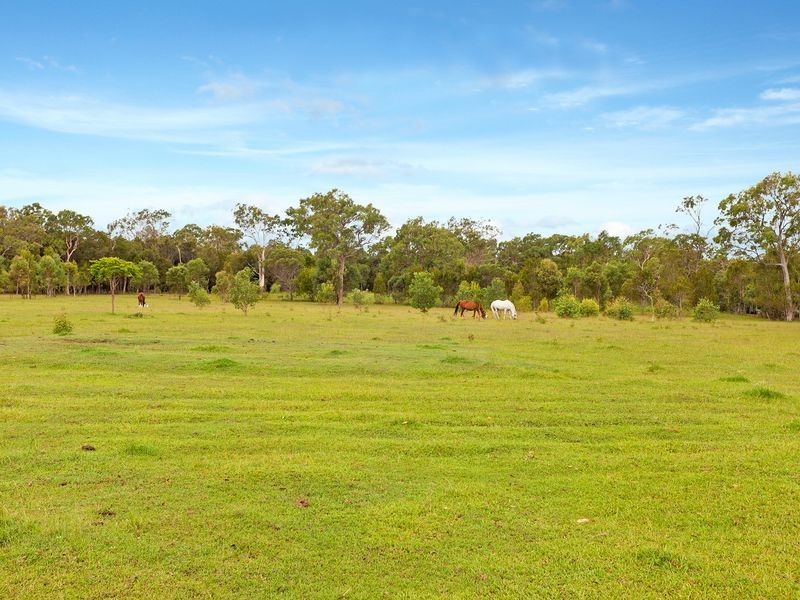 1744 Mt Gravatt-Capalaba Road, Chandler QLD 4155