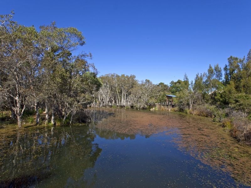 4 Truscot Place, Thornlands QLD 4164
