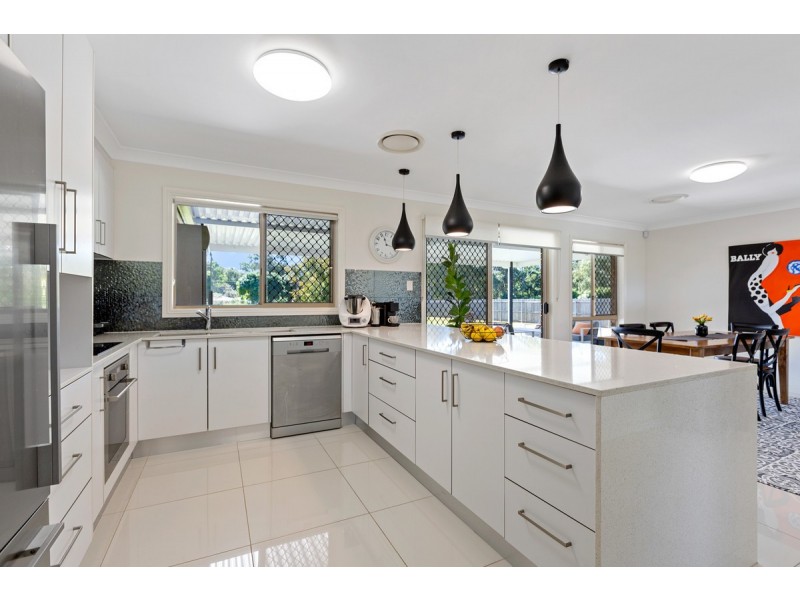 17 Pandanus Street, Birkdale QLD 4159