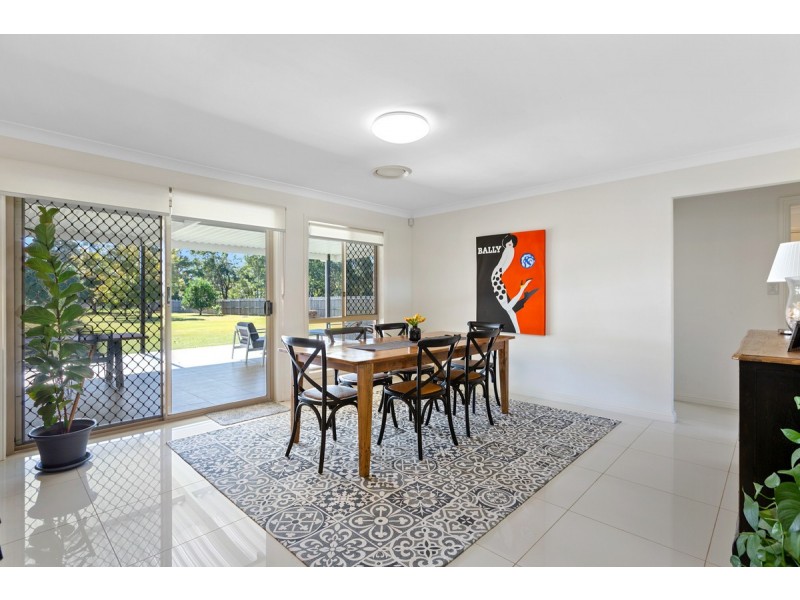 17 Pandanus Street, Birkdale QLD 4159