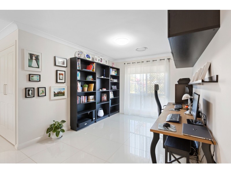 17 Pandanus Street, Birkdale QLD 4159