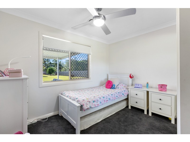 17 Pandanus Street, Birkdale QLD 4159