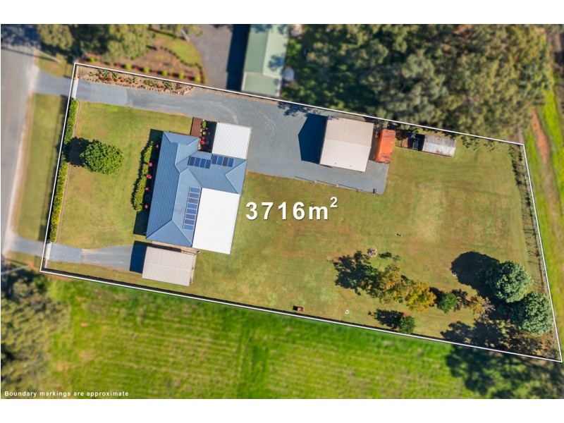 17 Pandanus Street, Birkdale QLD 4159