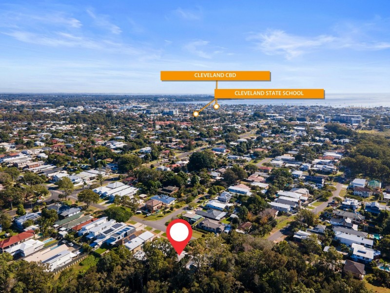 5 Princess Street, Cleveland QLD 4163