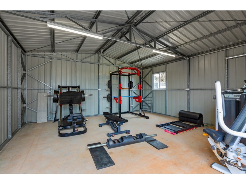 31A Lynch Crescent, Birkdale QLD 4159